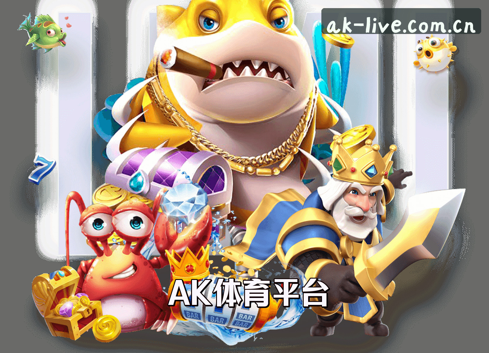 关于我们